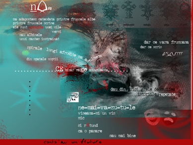 Digital graphic design -Visual Poetry