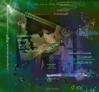 Digital graphic design -Visual Poetry